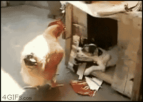 peep.gif