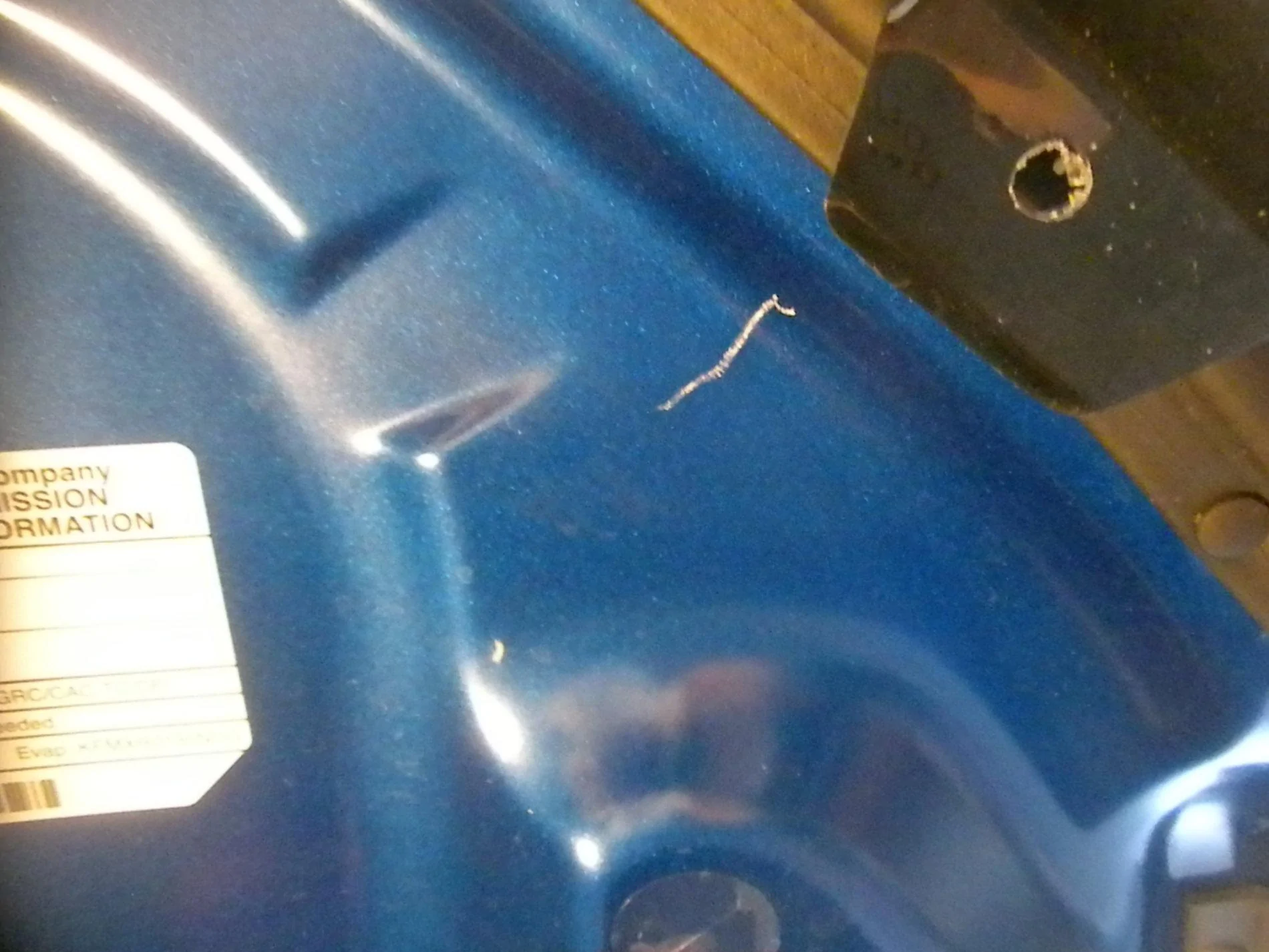DSCN7846.webp