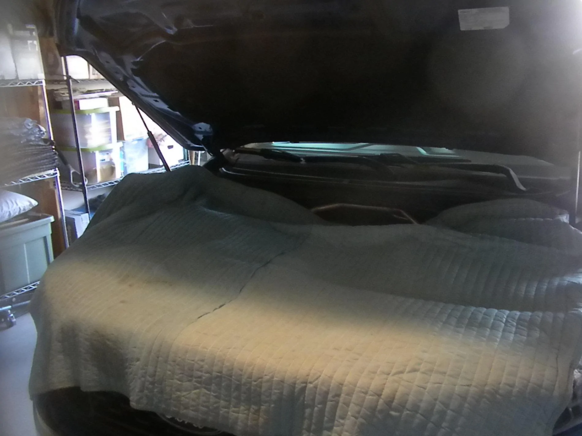DSCN7847.webp