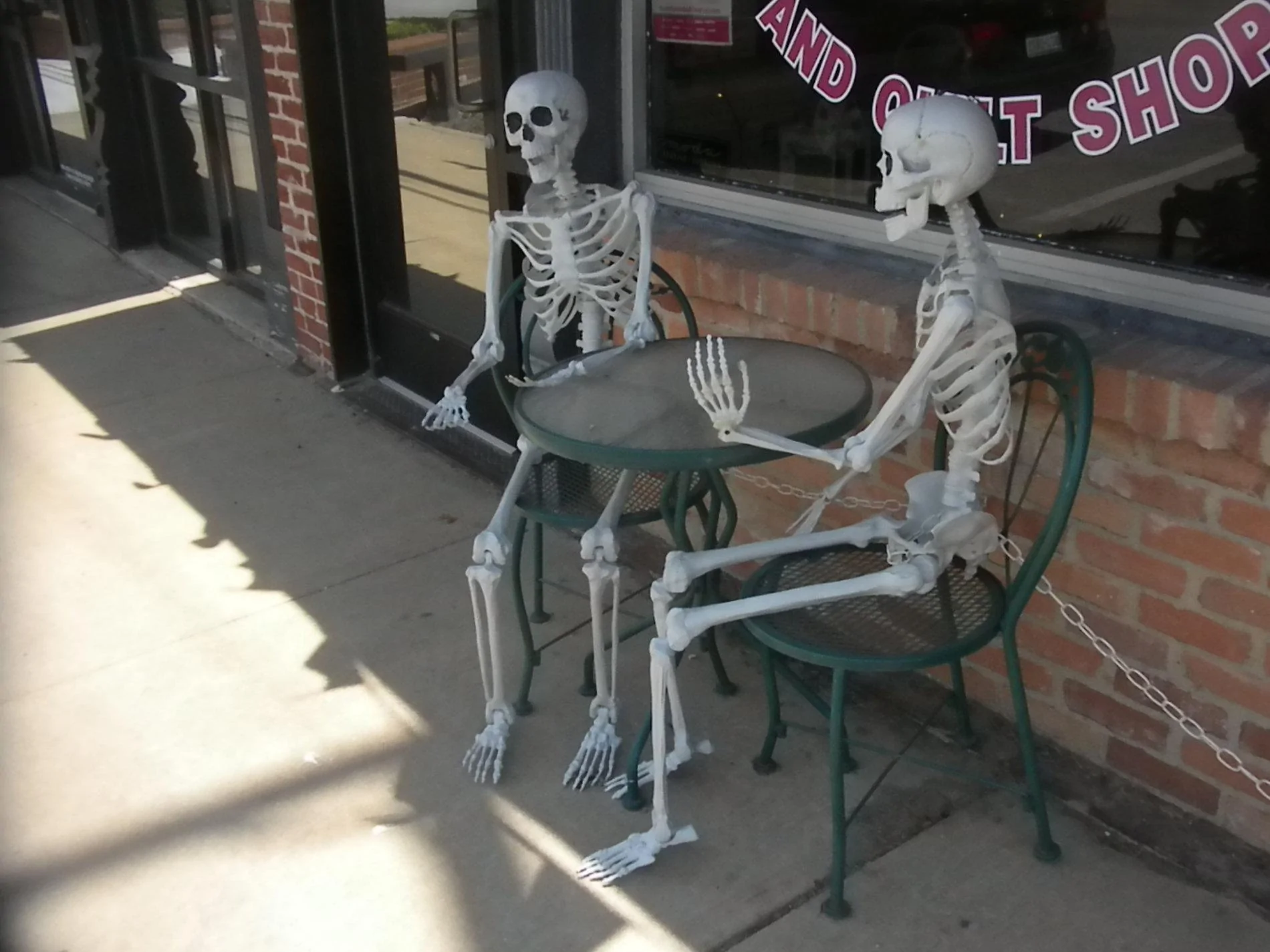 DSCN7853.webp