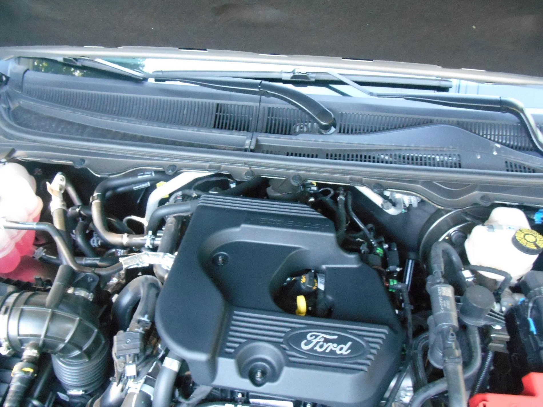 DSCN1317.webp