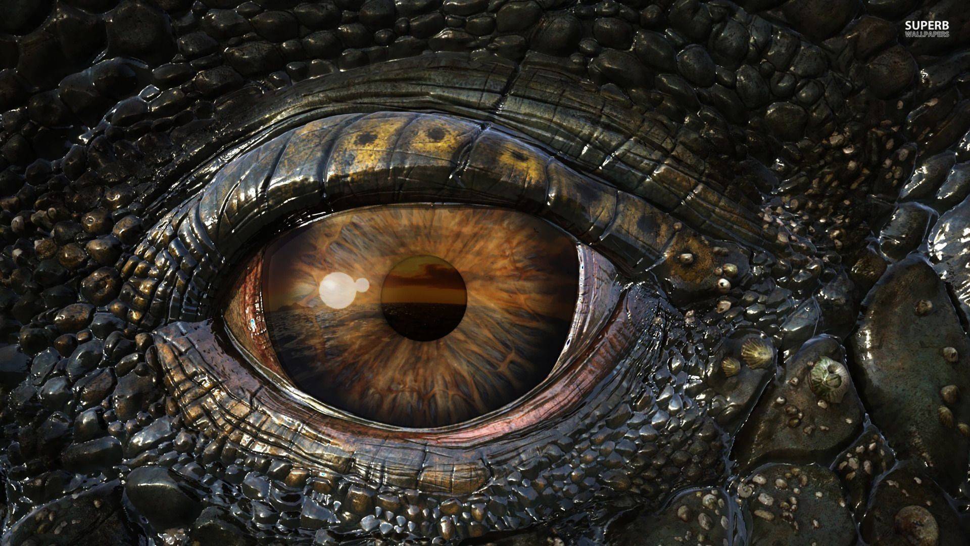 1441404-new-evil-eyes-wallpaper-1920x1080.jpeg