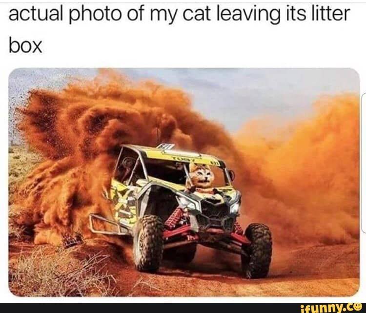 2b5a3d70e5dd3489a46963dd56f98588.jpg