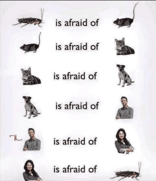 1659449413031M6.webp
