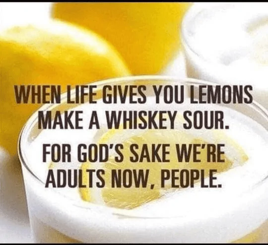 1661863878151LemonM6.webp