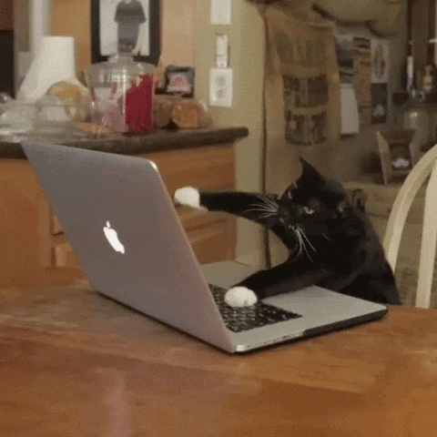 1662149084919.gif
