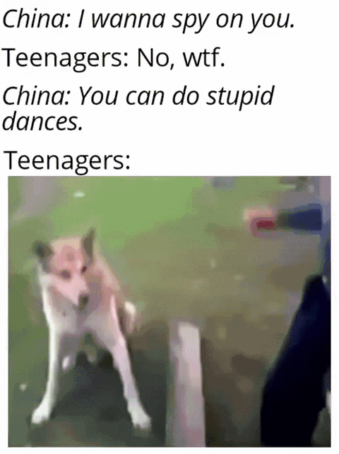 TikTok.gif