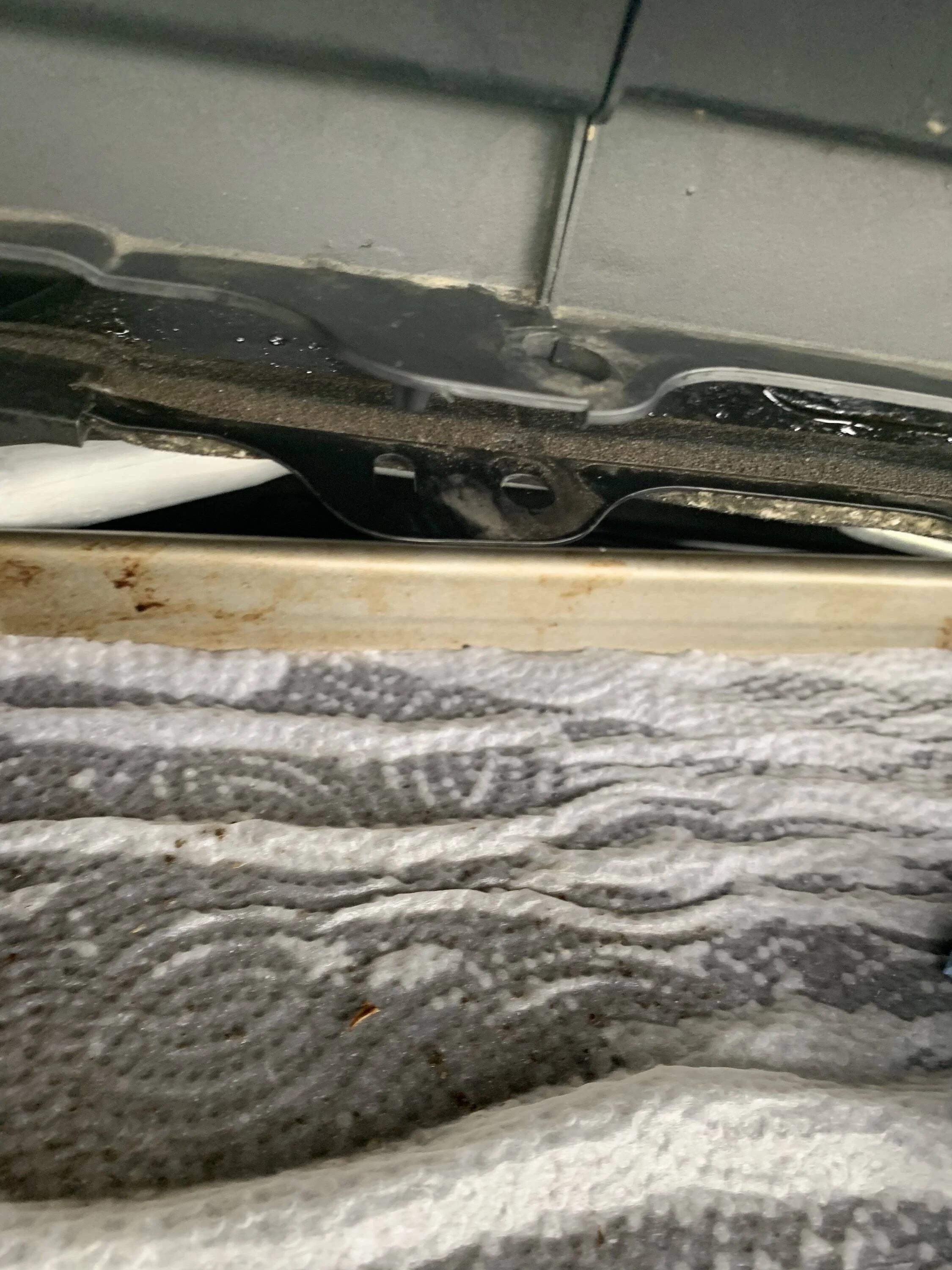 2E5CC21F-D25F-40EA-8996-2A25455761E7.jpeg