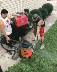 200w (1).gif