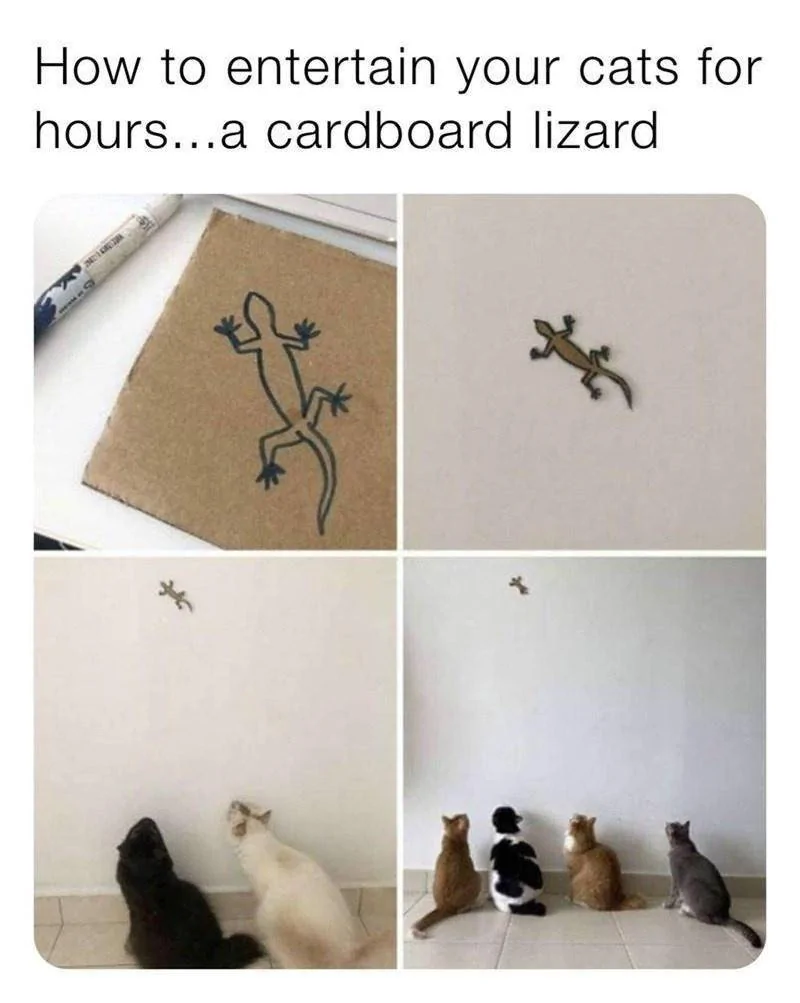 cat-entertain-cats-hours-cardboard-lizard.webp