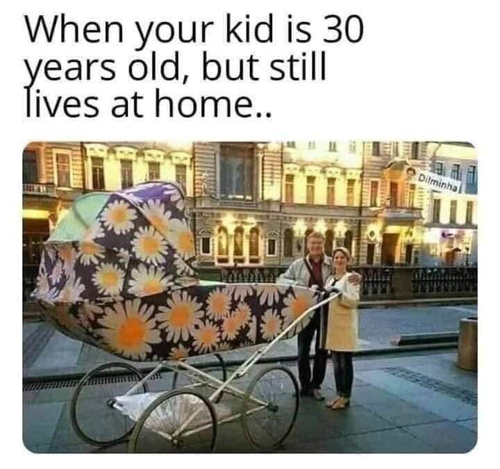 fetchimage.jpeg