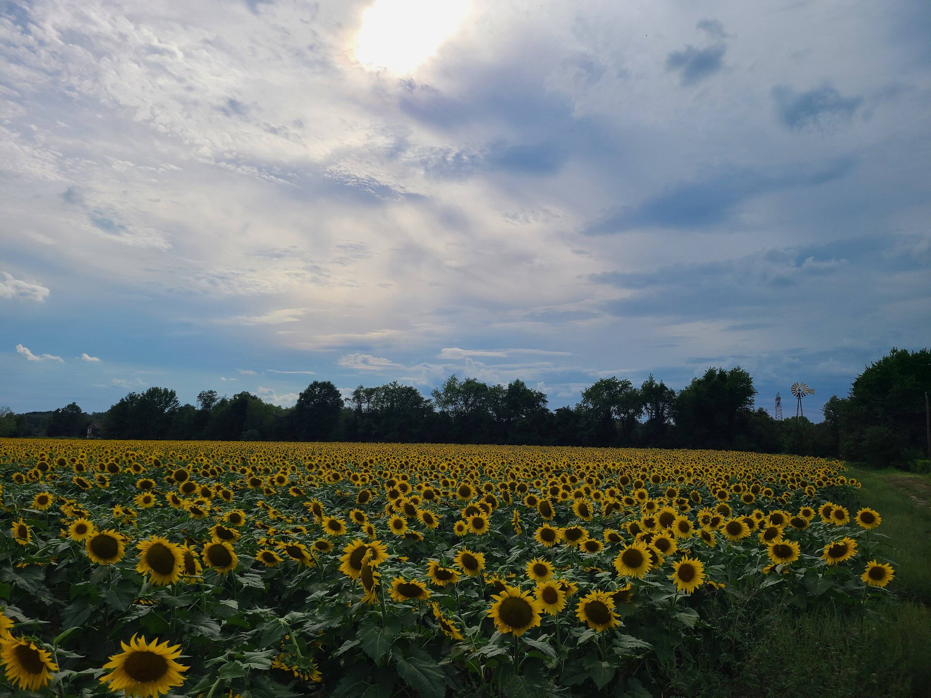 20220905_162924.jpg