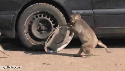1662467244618.gif
