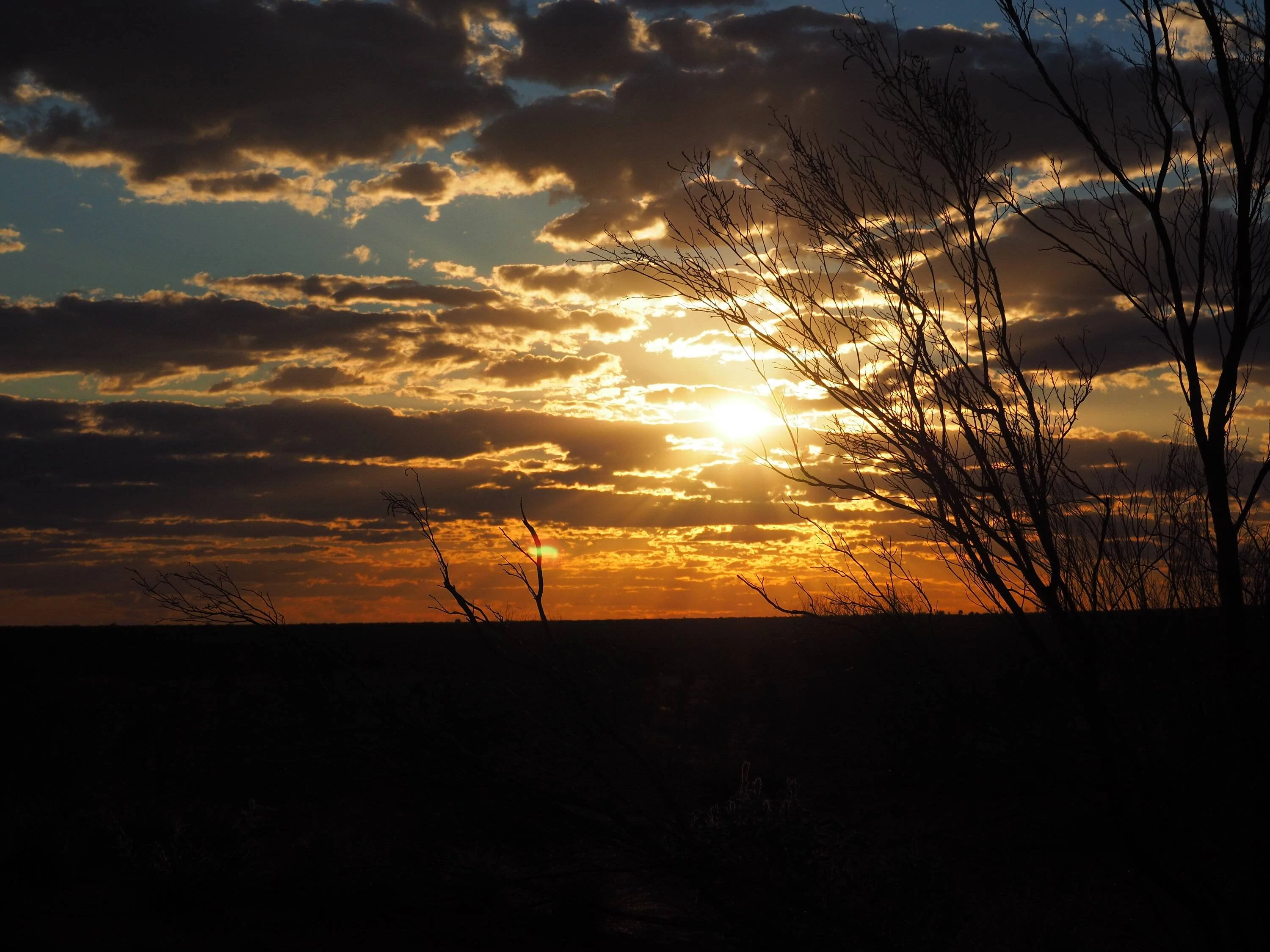 P8270351.webp