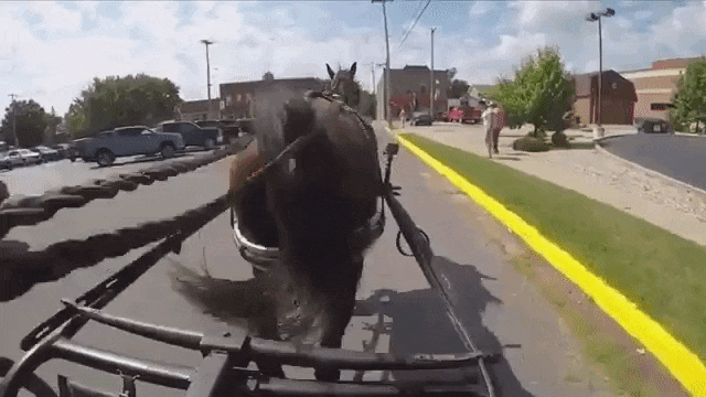 Horse-and-Buggy-Uber.gif