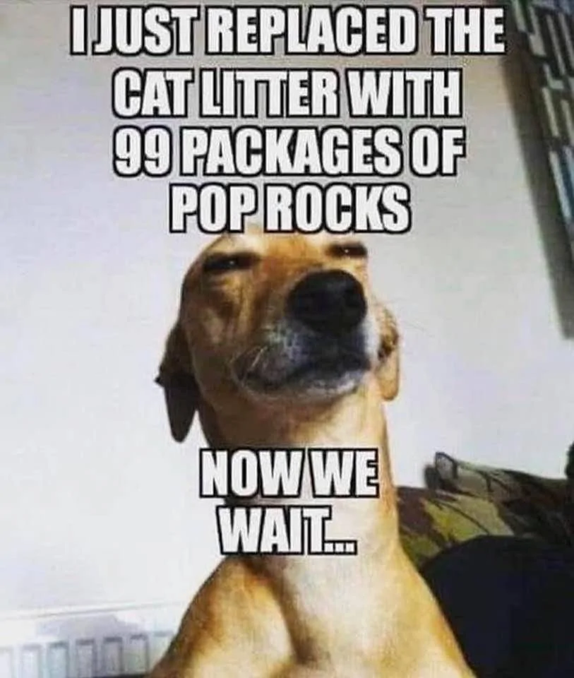 68609D85-3A84-48A4-9B42-A233BE2BB9EB.webp