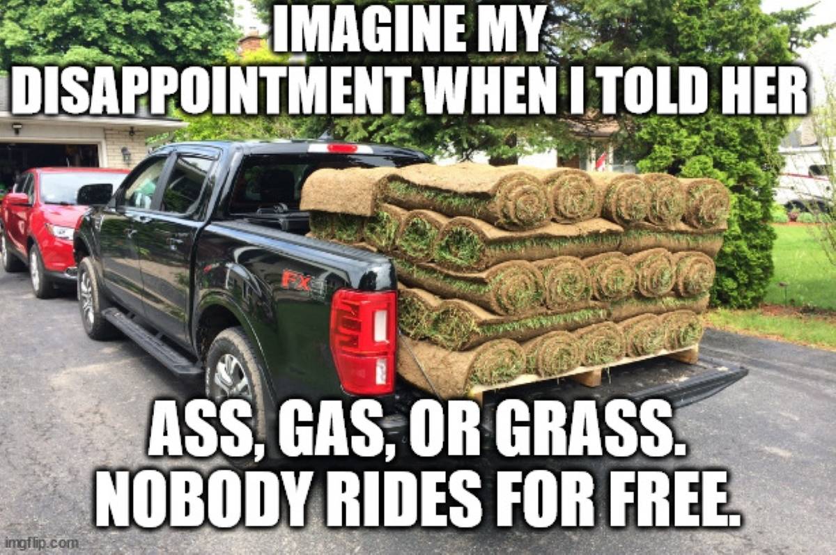 grass2.jpg