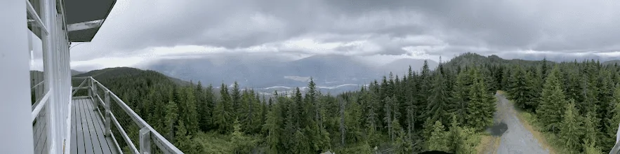 1662662129760.webp