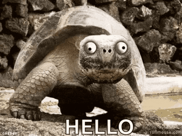 1662830508812.gif