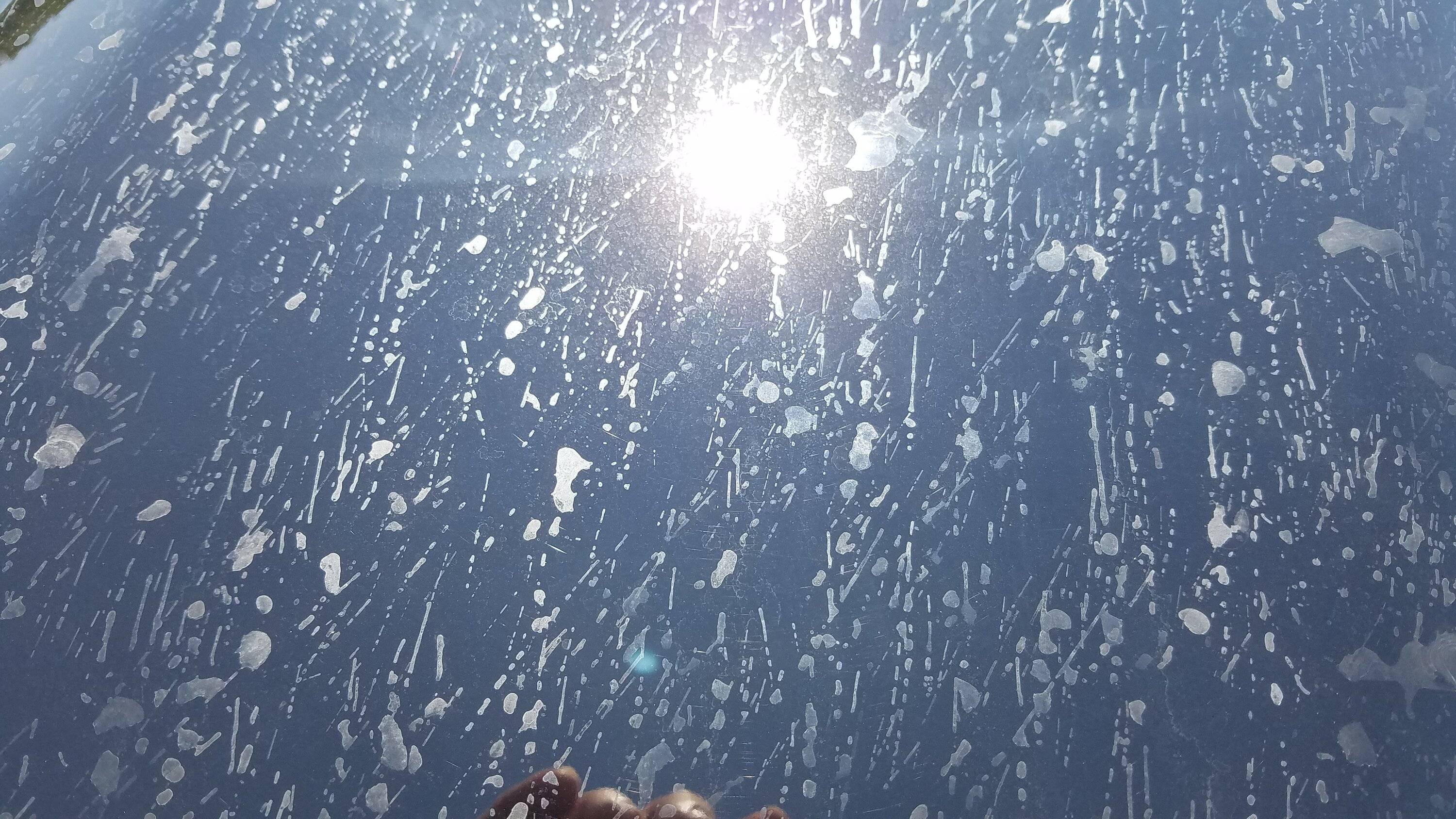20220910_131102.jpg