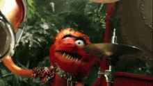 animal.gif