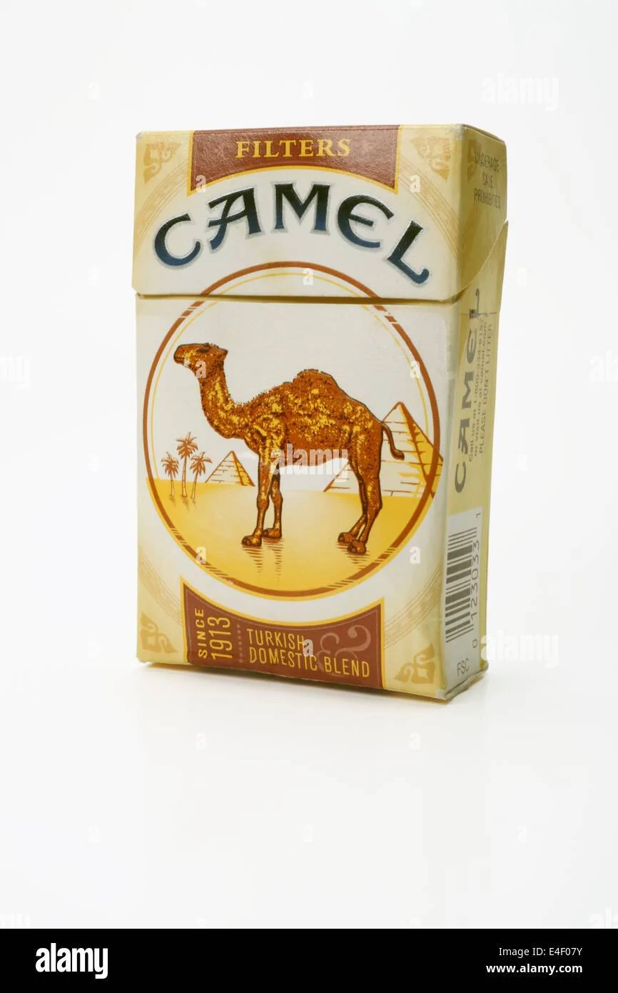 pack-of-camel-cigarettes-E4F07Y.webp
