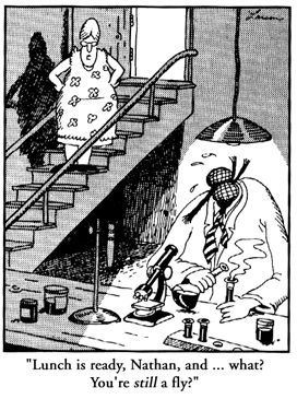 bdcbddd9d15035edac4f28233fc66dfc--fly-traps-the-far-side.jpg