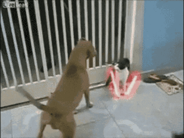 1663356369588.gif