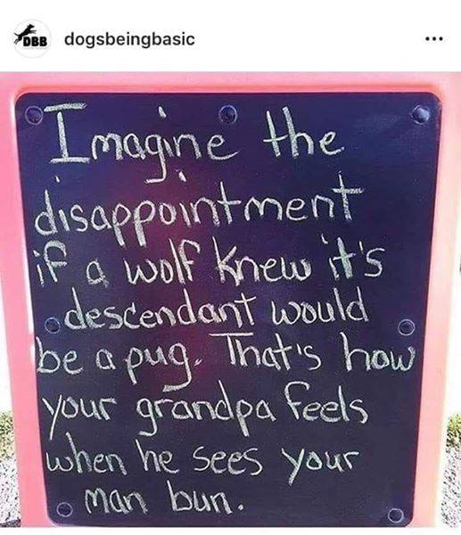 tumblr_pwgyaBunM6.jpg