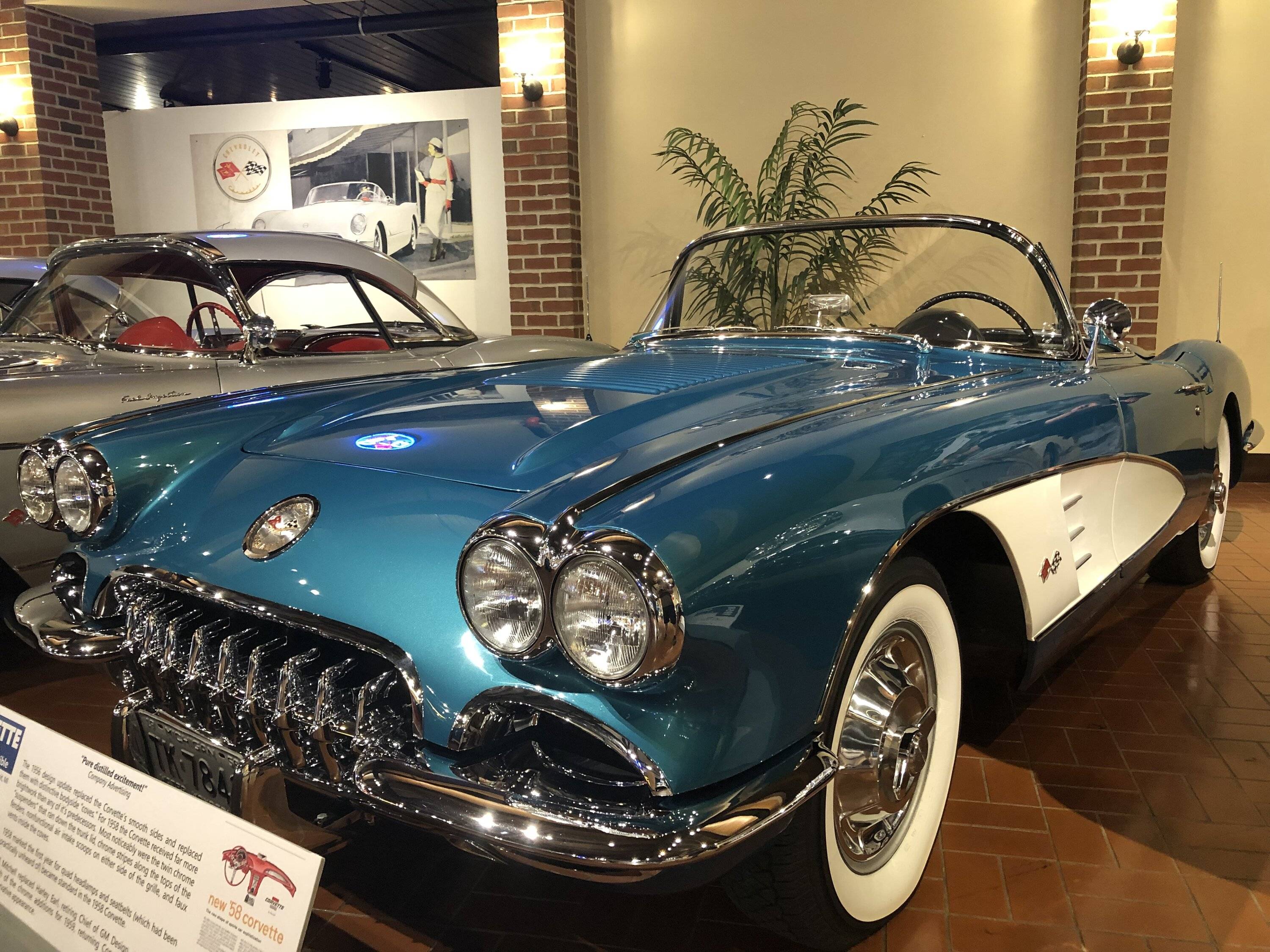 3D769E3D-C3EF-4FEF-AD5A-881002A0011A.jpeg