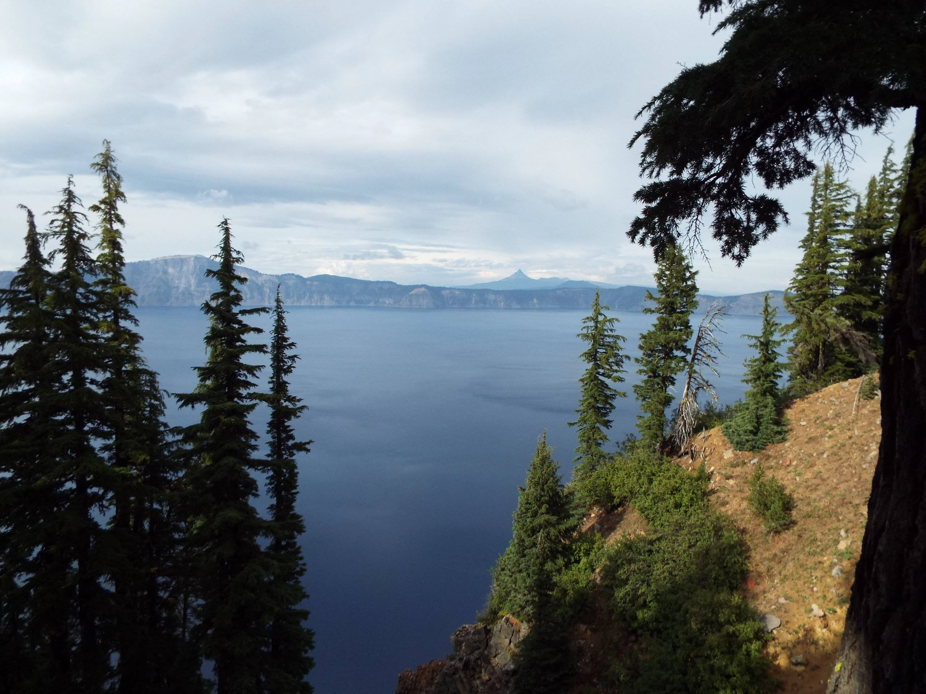 DSCF2119.webp