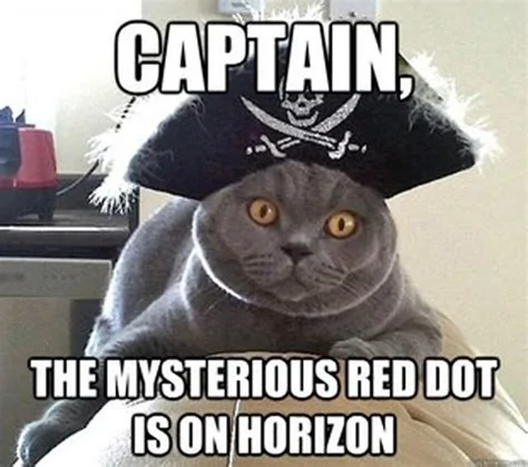 pirate cat keeps a lookoutM6.webp
