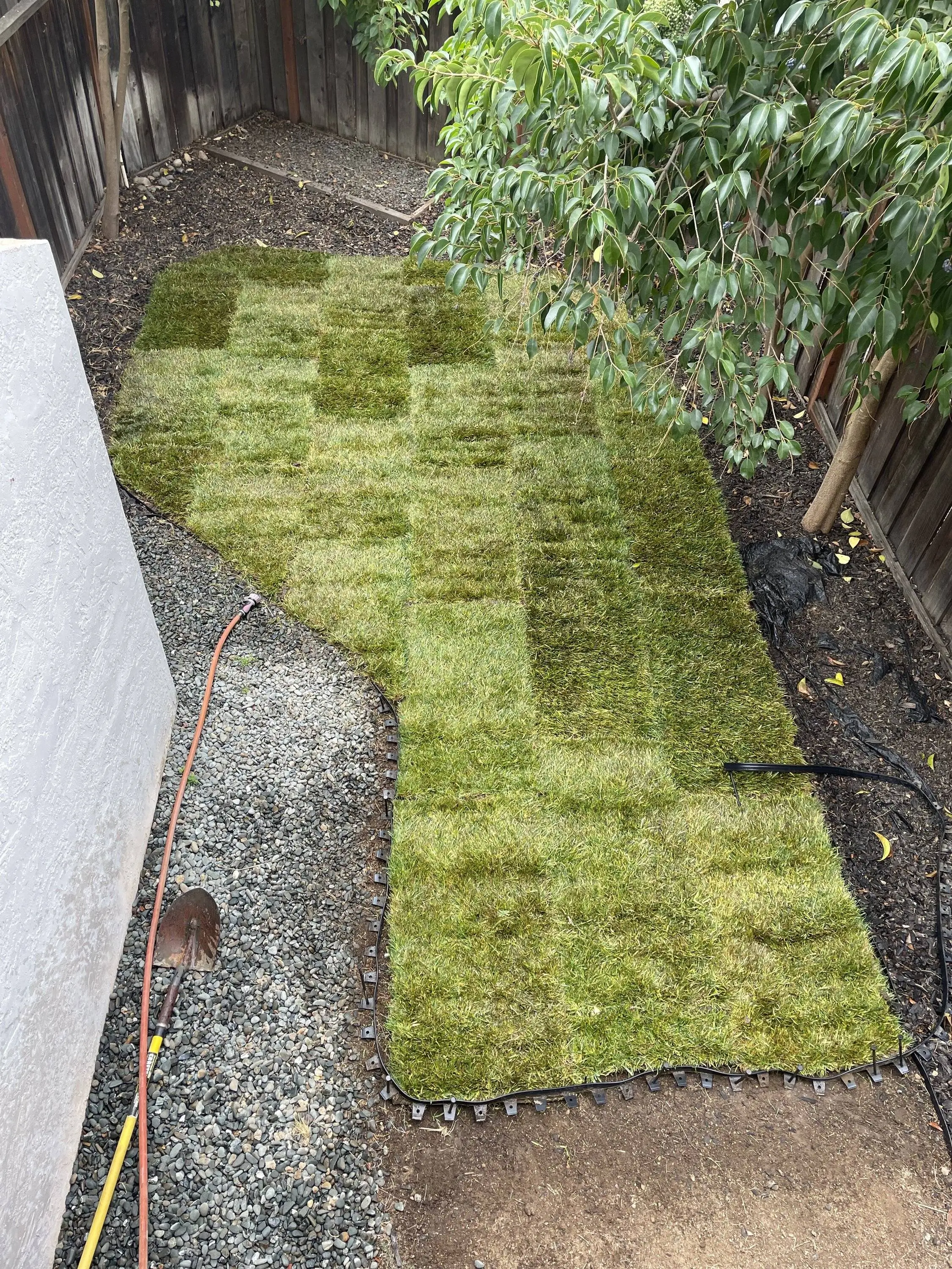 New Lawn.webp