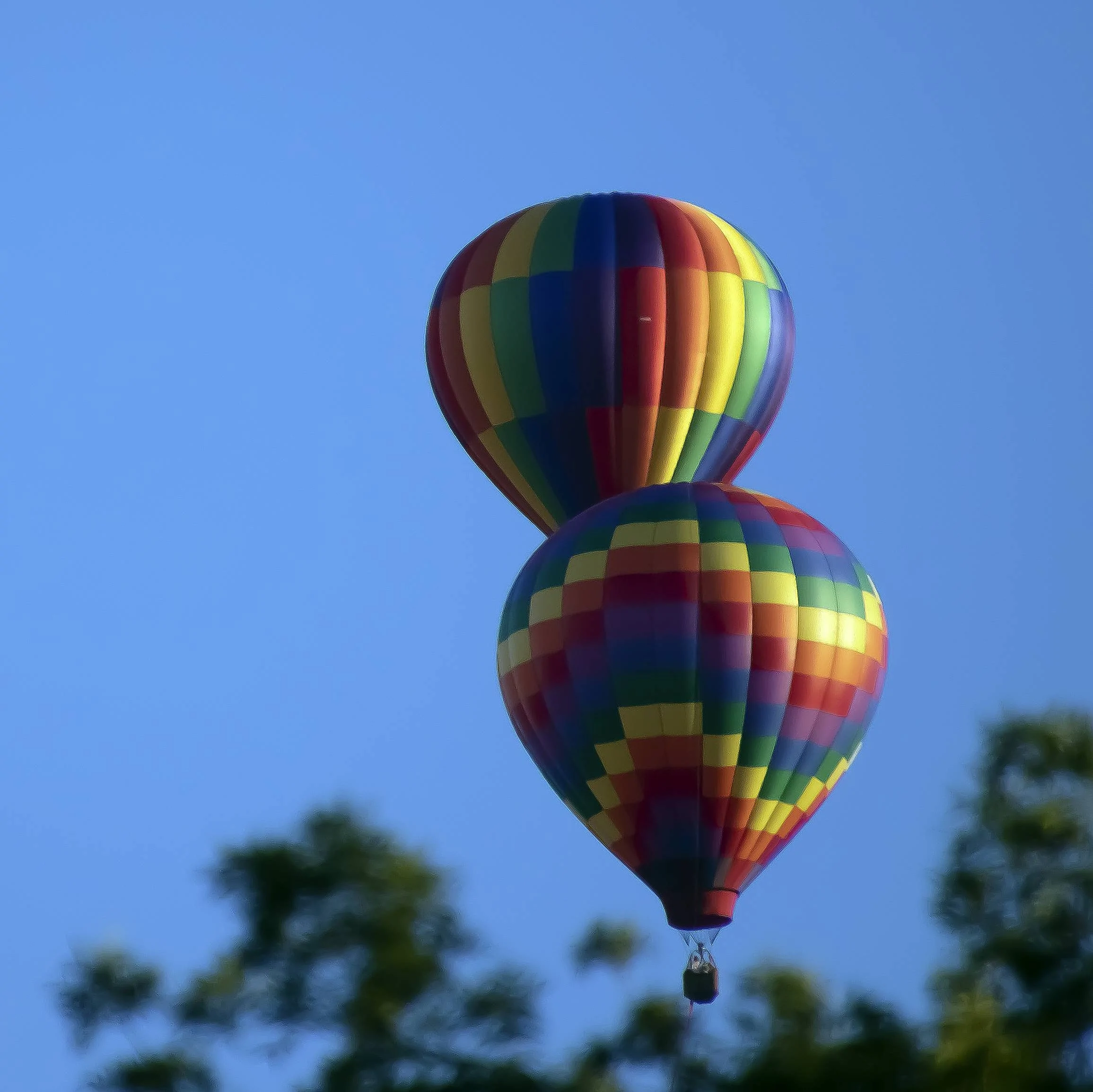 balloons d.webp