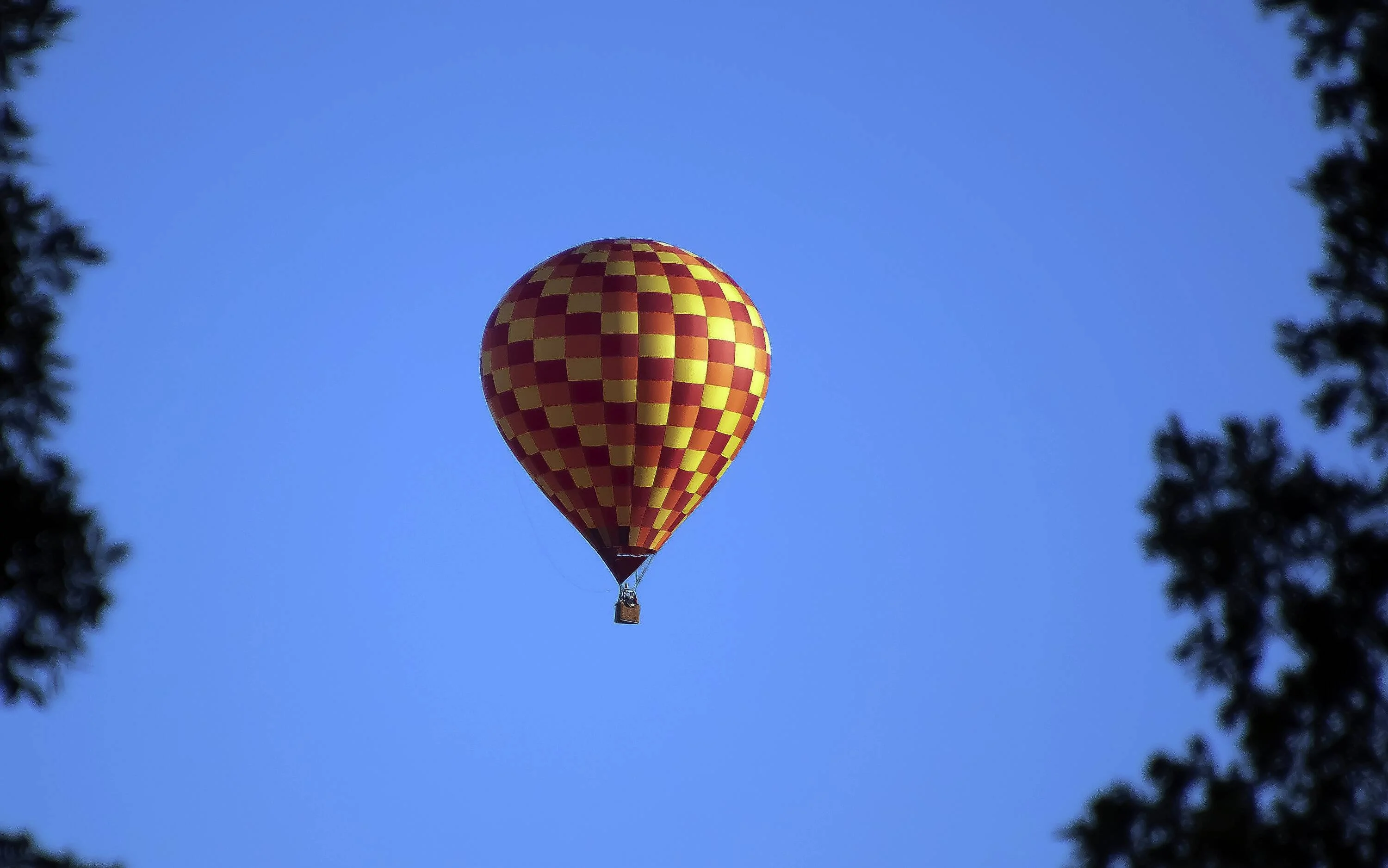 balloons h.webp
