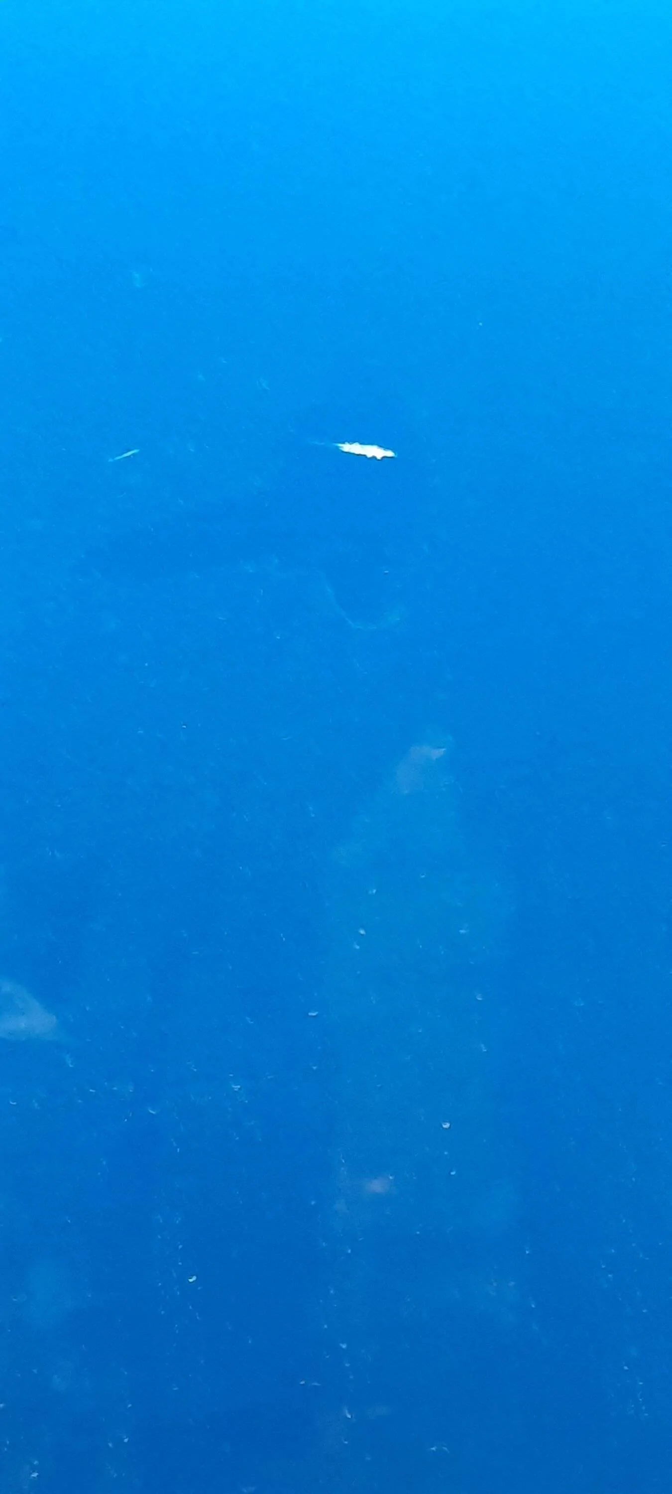 20220926_161258.jpg