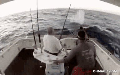 tmp_1653085706484.gif