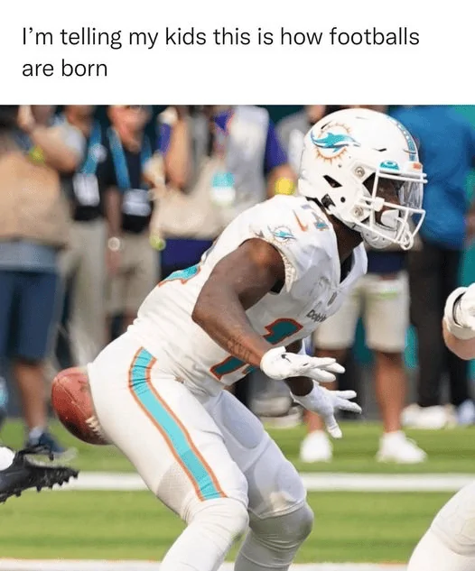 1664319138587.webp