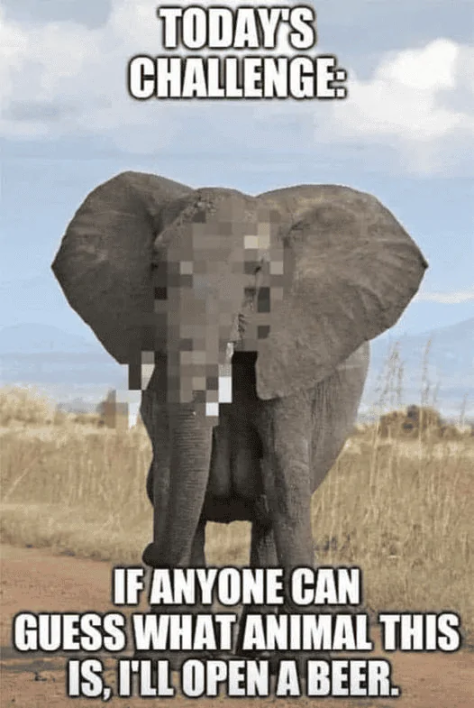 1664561134667.webp