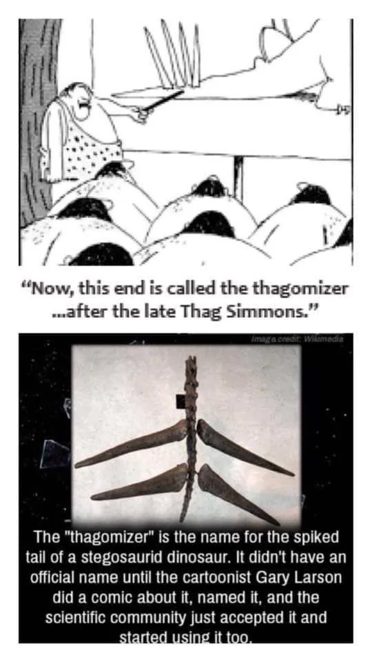 Thagomizer.jpg