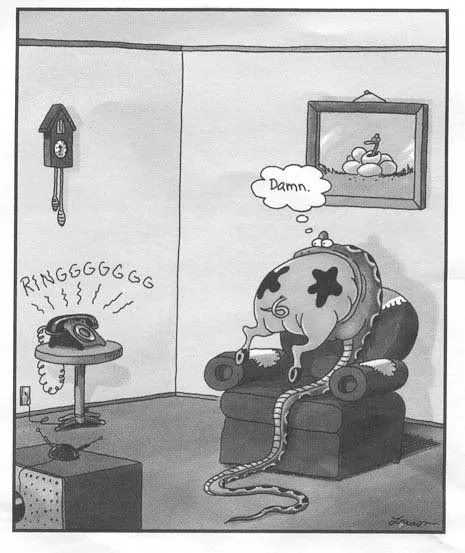 31b03b74ce65fa416c6460f022de9eb2--the-far-side-animal-humor.webp