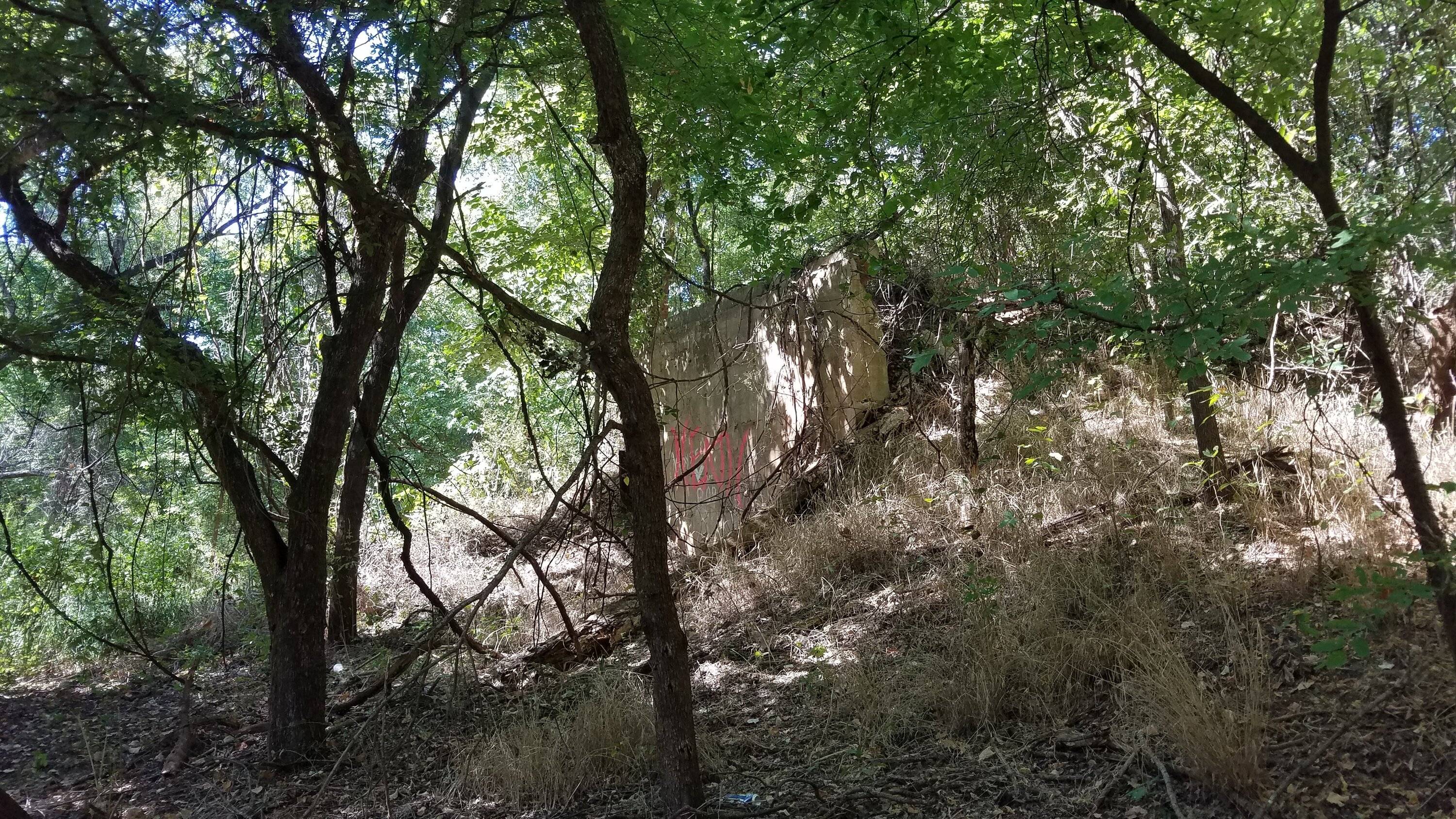 20221001_143008[1].jpg