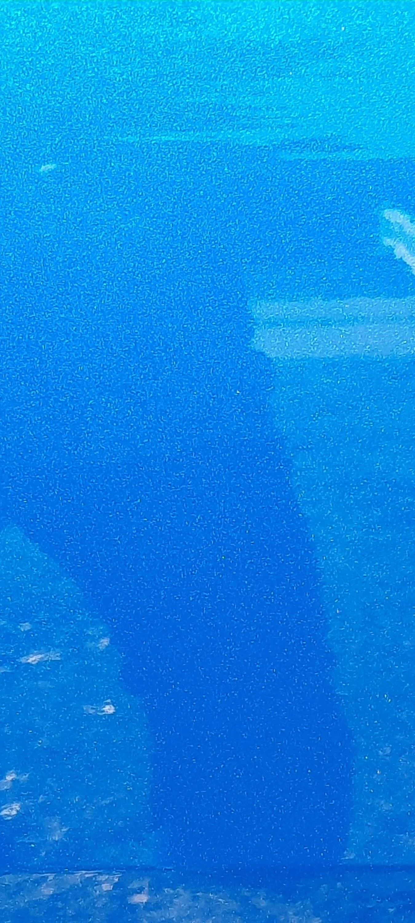 20221002_145056.jpg
