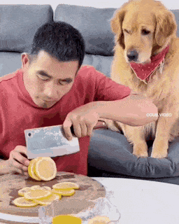 1665111101903.gif