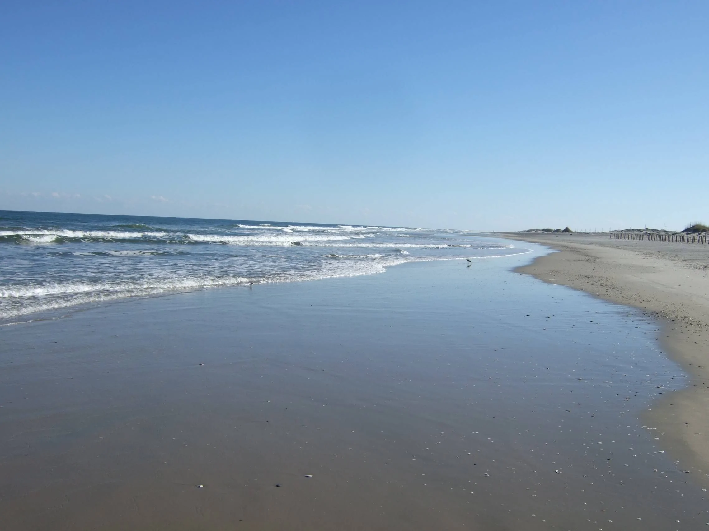 NC Outer Banks .webp