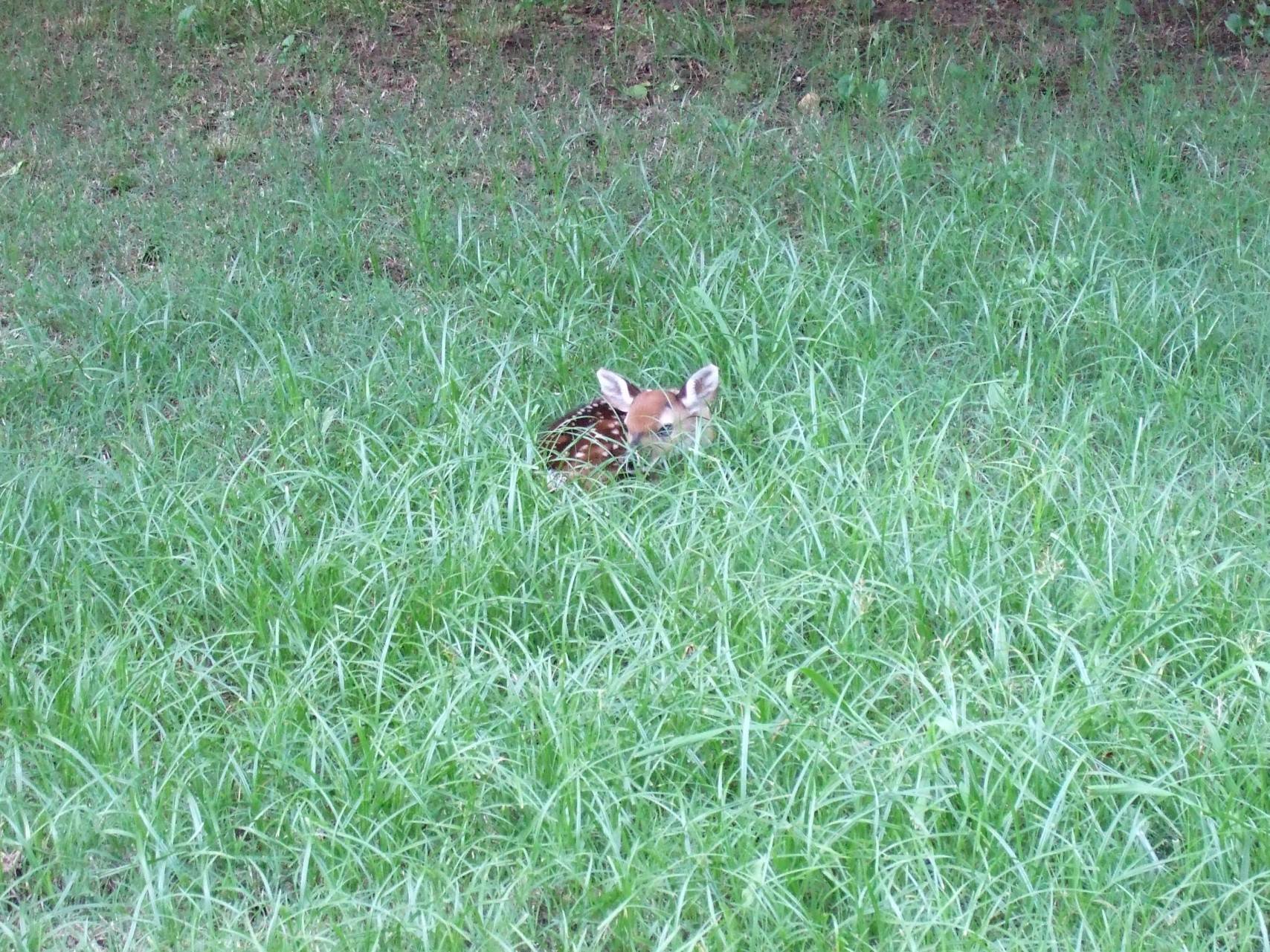 Little One .JPG