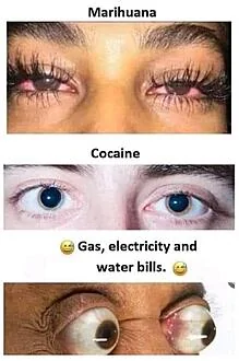 drug.webp