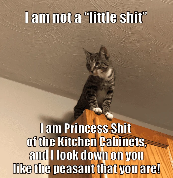 Princess says you're a peasantM6.webp