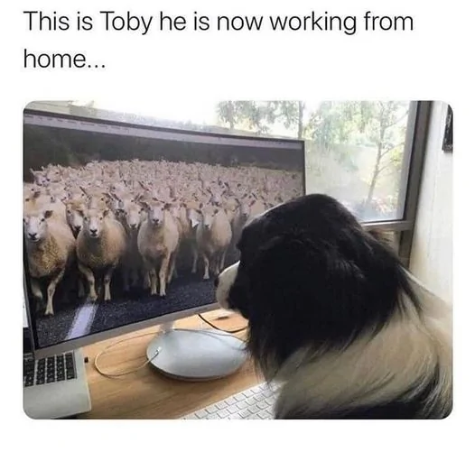 pqo0eylkm2t91.webp