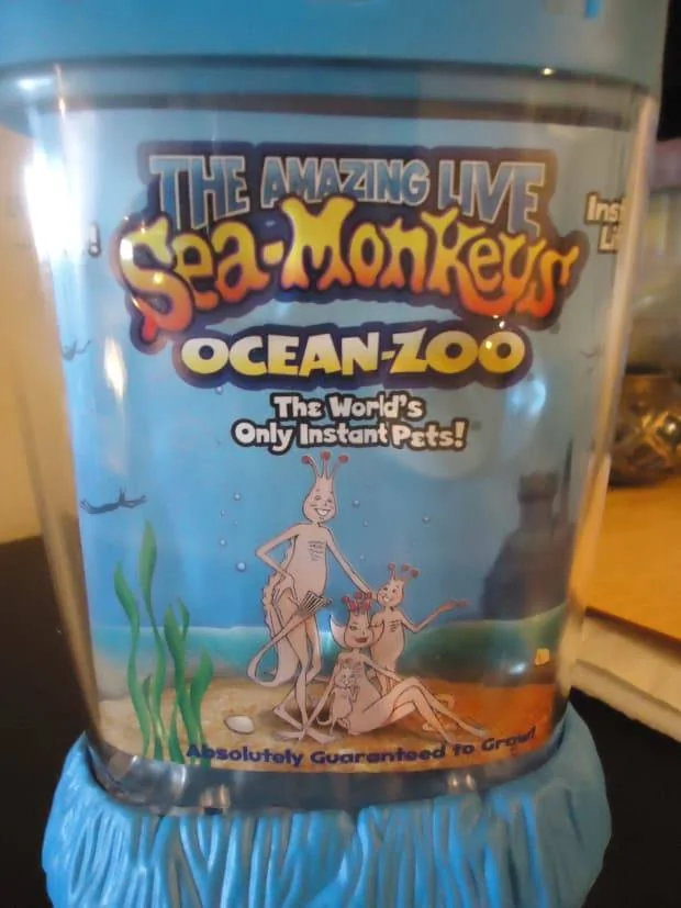 how-to-grow-sea-monkeys.jpg